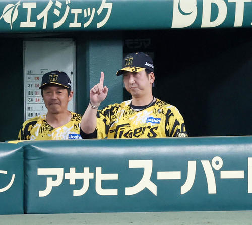 阪神対ヤクルト　4回裏阪神無死一塁、藤川監督は中野がバントを決めベンチで指を立てる（撮影・加藤哉）