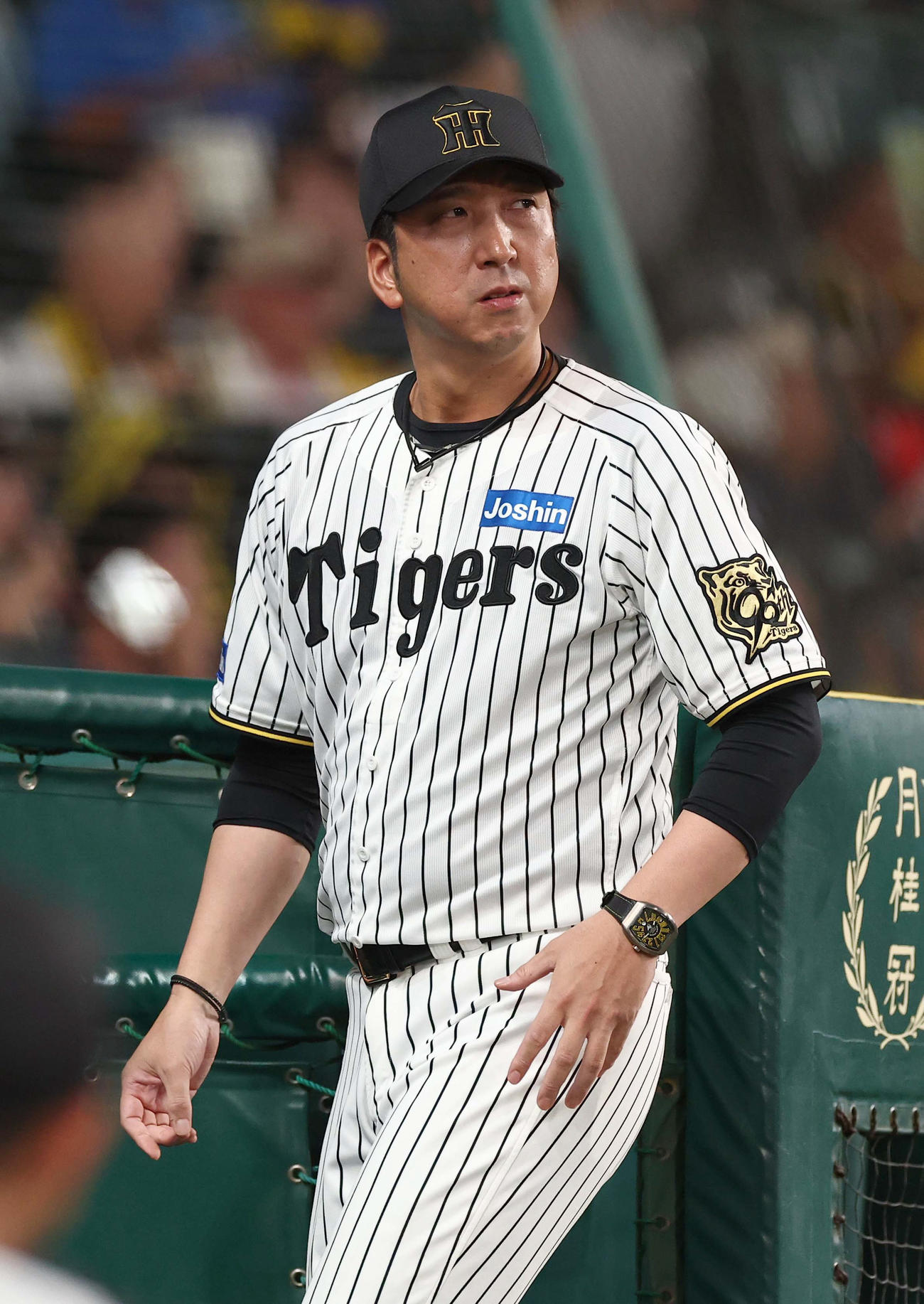 阪神対DeNA　選手交代を告げる藤川監督（撮影・上田博志）