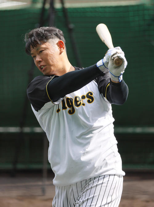 阪神対DeNA　練習に励む阪神原口（撮影・上山淳一）