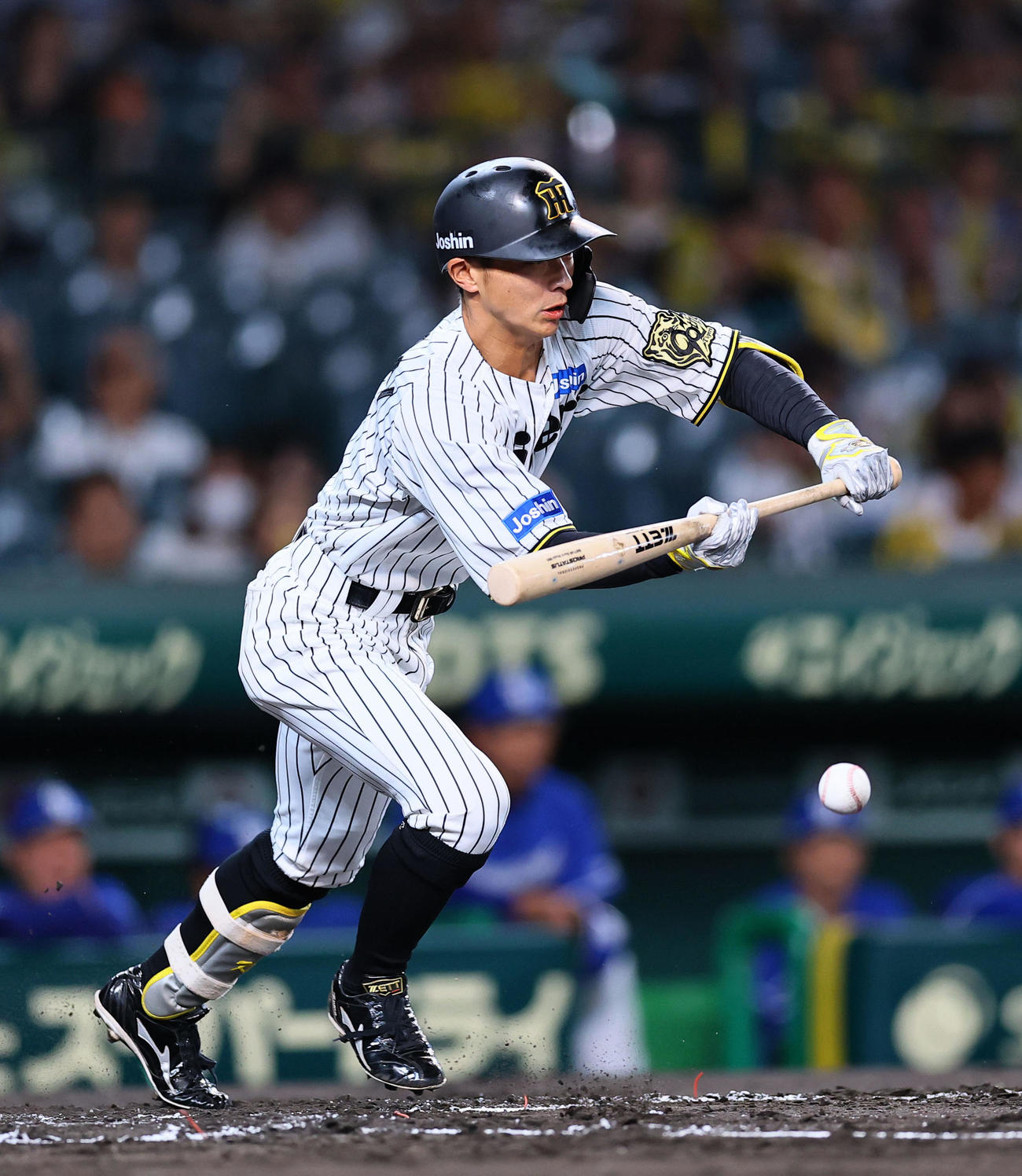 阪神対中日　1回裏阪神2死二塁、セーフティーバントを狙った熊谷は、相手失策で出塁する（撮影・藤尾明華）
