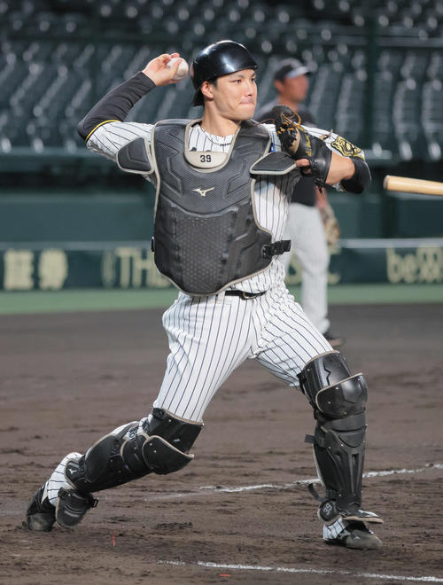 阪神栄枝裕貴（2025年10月14日撮影）