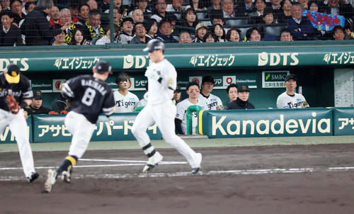 阪神対ソフトバンク　9回裏阪神2死、代打木浪の二ゴロをベンチで見るナインと右端は藤川監督（撮影・加藤哉）