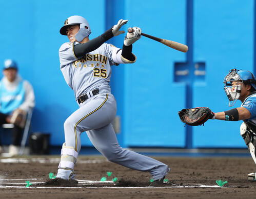 練習試合・日本ハム対阪神　6回表阪神無死、谷端は三ゴロに倒れる（撮影・上山淳一）