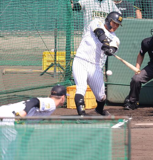 ライブBPで阪神ルーカスと対戦する前川（撮影・上田博志）