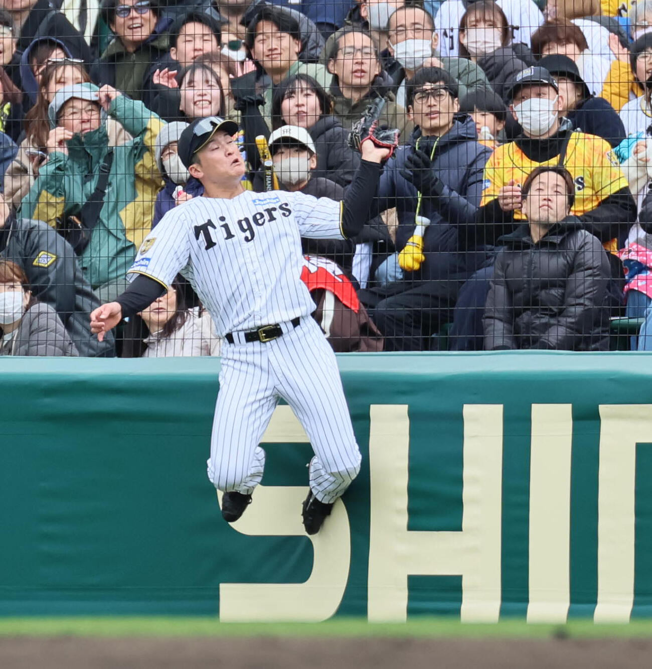 阪神対ソフトバンク　4回表ソフトバンク2死、高寺は井上の右邪飛を好捕する（撮影・宮崎幸一）