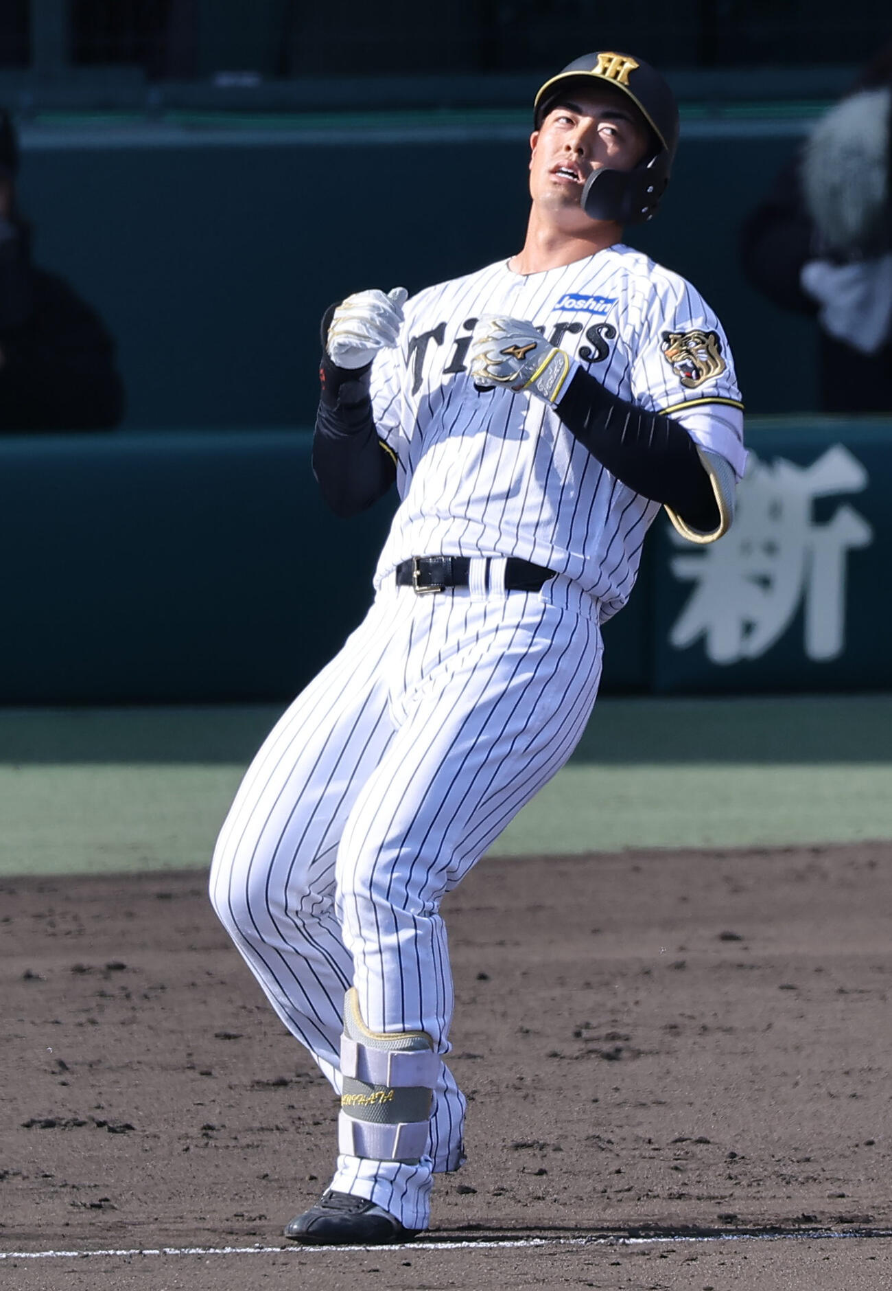 阪神対巨人　8回裏阪神1死一塁、谷端は併殺打に倒れる（撮影・上田博志）