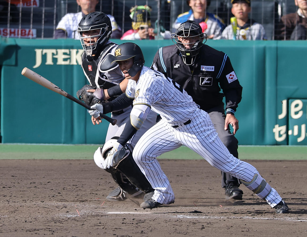 阪神対巨人　8回裏阪神1死一塁、谷端は併殺打に倒れる（撮影・上田博志）