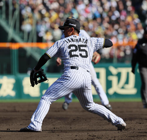 阪神対巨人　8回表巨人1死二、三塁、谷端はキャベッジの二塁ゴロで本塁に投げず（撮影・宮崎幸一）