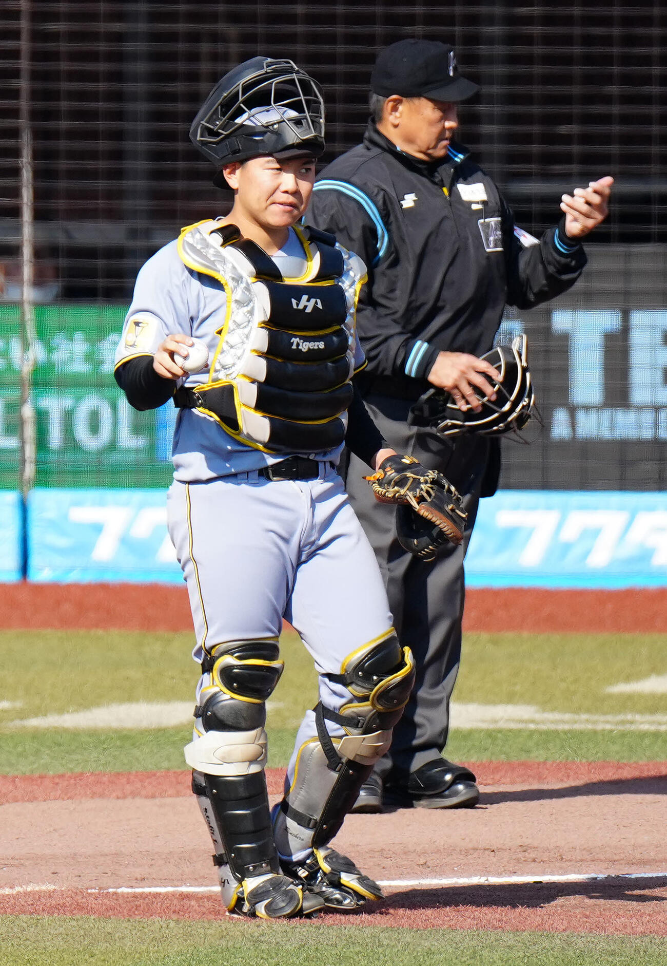 ロッテ対阪神　6回裏から守備に就く阪神捕手嶋村（撮影・江口和貴）
