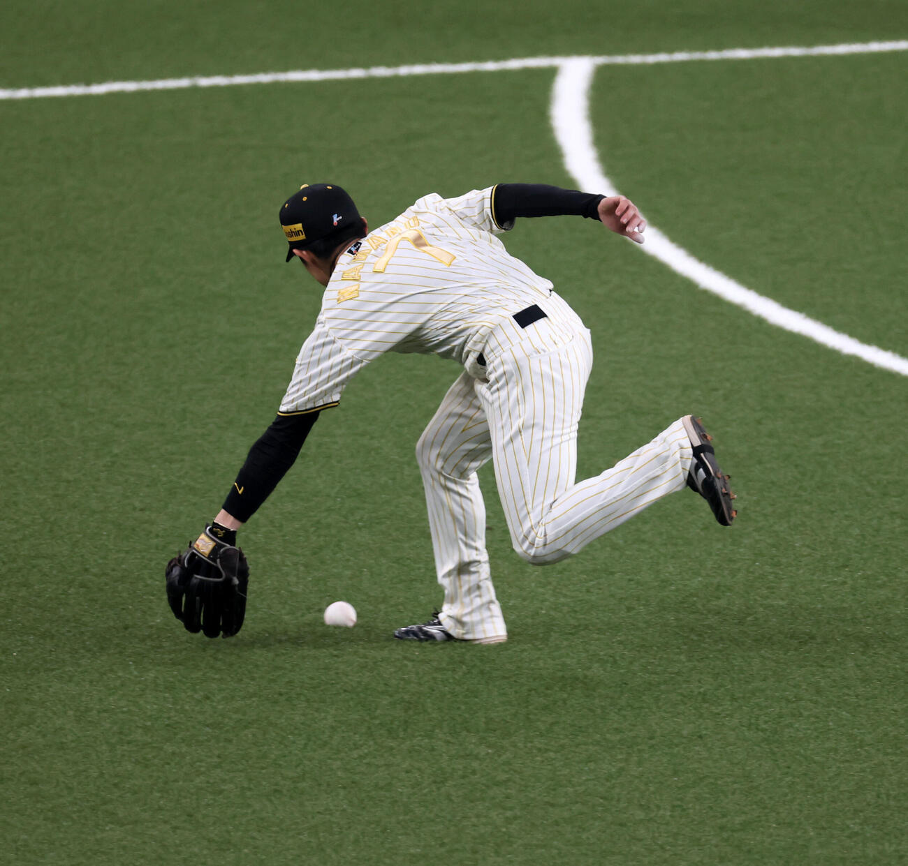阪神対DeNA 7回表DeNA2死、中野は代打京田の打球を好捕しジャンピングスローを見せる（撮影・加藤哉）