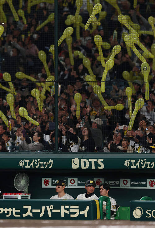 阪神対ヤクルト　7回裏の攻撃に備える阪神佐藤輝左）ら（撮影・前田充）