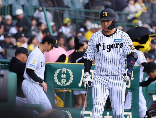 阪神対DeNA　次打席で準備するも試合終了でベンチに引き揚げる大山悠輔（撮影・上田博志）