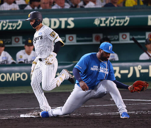 阪神対日本ハム　4回裏阪神1死一塁、立石正広は併殺打に倒れる（撮影・上田博志）