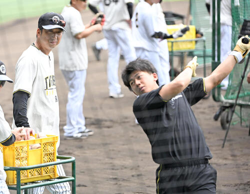 阪神対日本ハム　阪神藤川球児監督（左）が見守る中、バッティング練習をする立石正広（撮影・石井愛子）