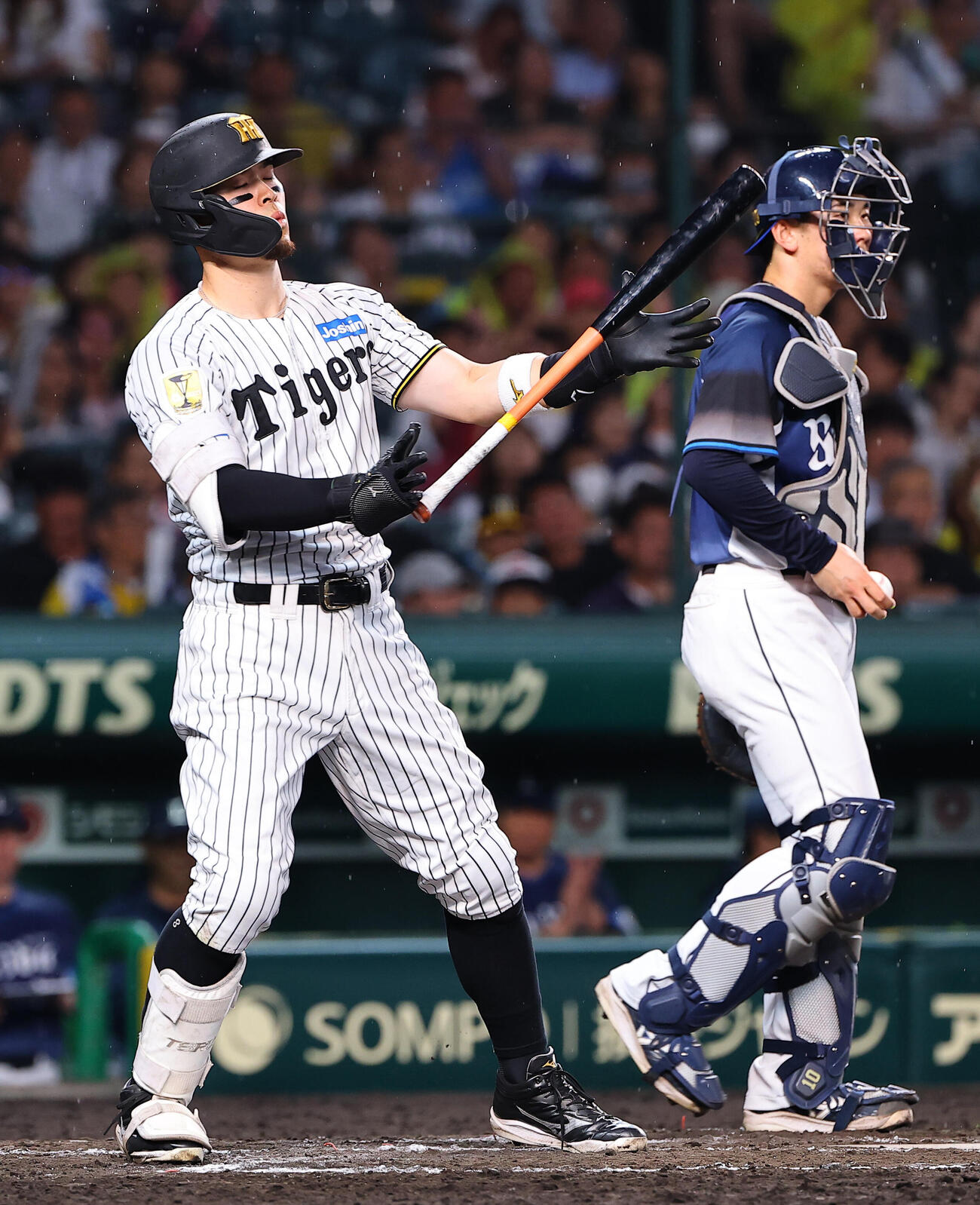 阪神対西武　4回裏阪神1死一塁、佐藤輝明は三振に倒れる（撮影・上田博志）
