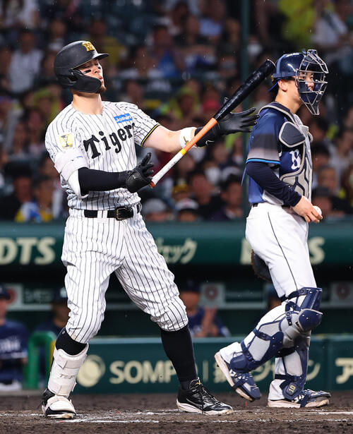阪神対西武　4回裏阪神1死一塁、佐藤輝明は三振に倒れる（撮影・上田博志）