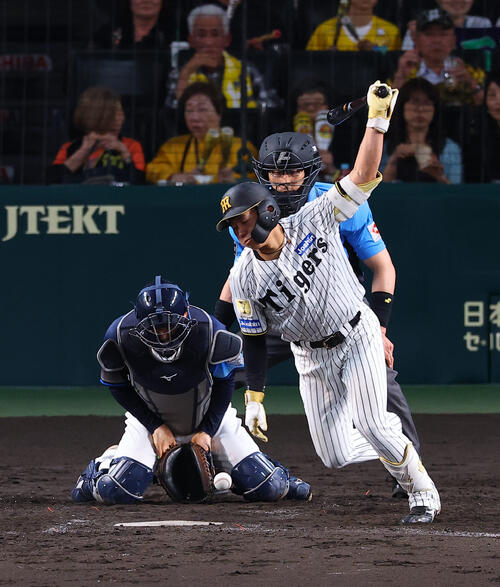阪神対西武　5回裏阪神無死、立石正広は三振に倒れる（撮影・上田博志).