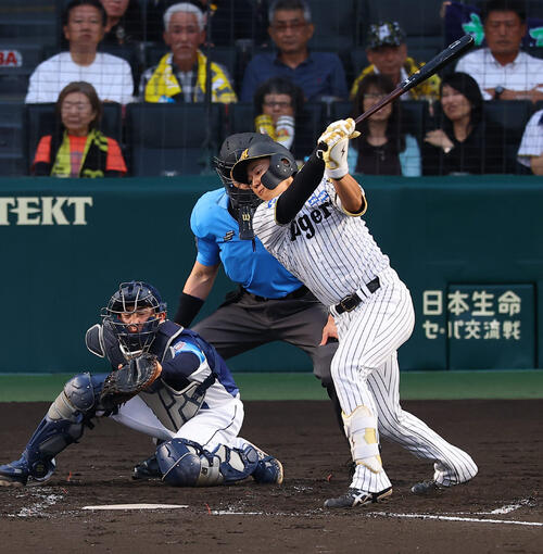 阪神対西武　2回裏阪神1死一塁、立石正広は三振に倒れる（撮影・上田博志).♯2026年6月16日、甲子園球場、阪神対西武交流戦第3戦
