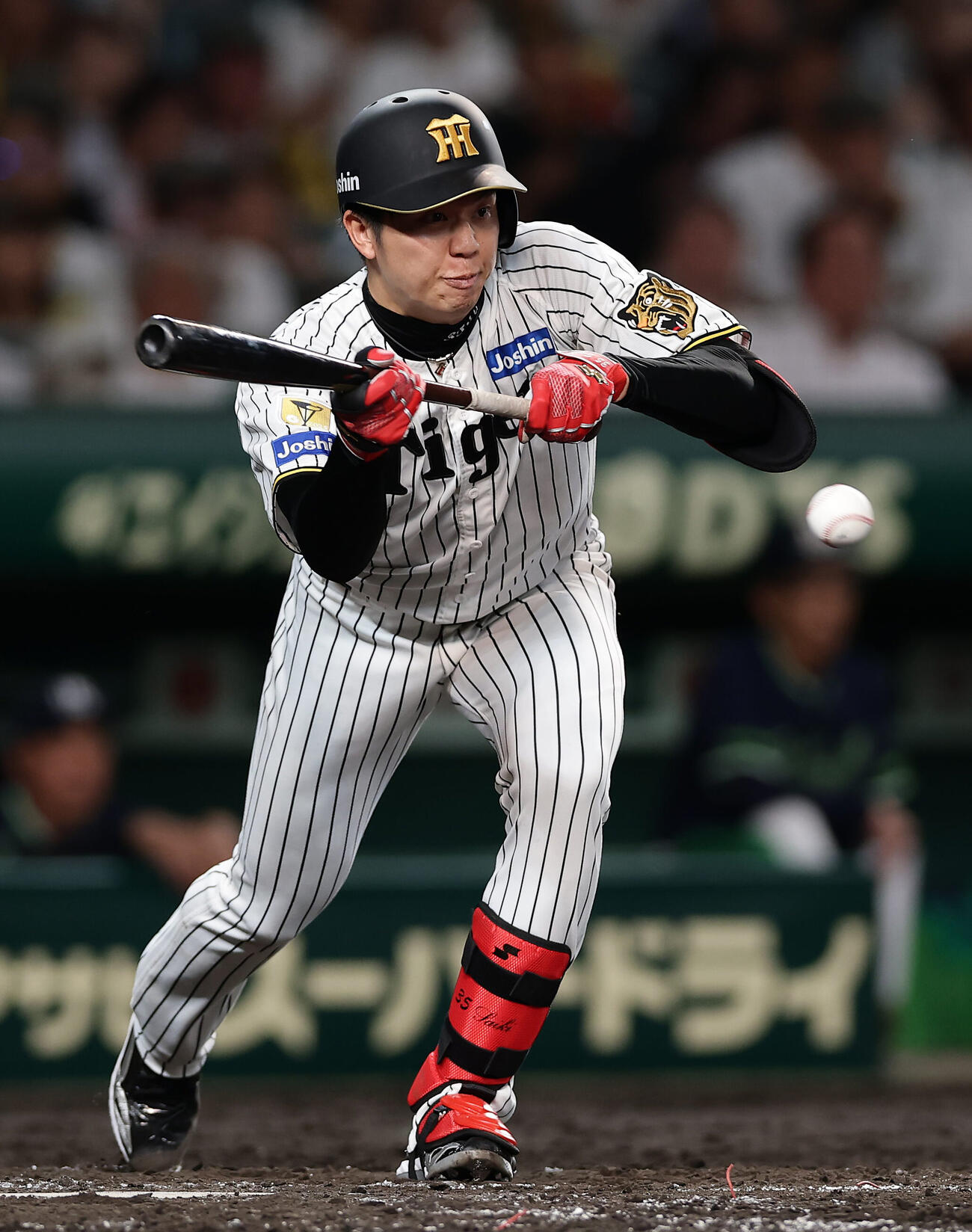 阪神対ヤクルト　5回裏阪神無死二塁、バントに失敗する才木浩人（撮影・前田充）