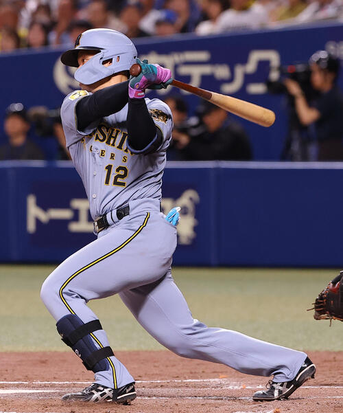 中日対阪神　2回表阪神2死、坂本誠志郎は安打を放つ（撮影・上田博志）