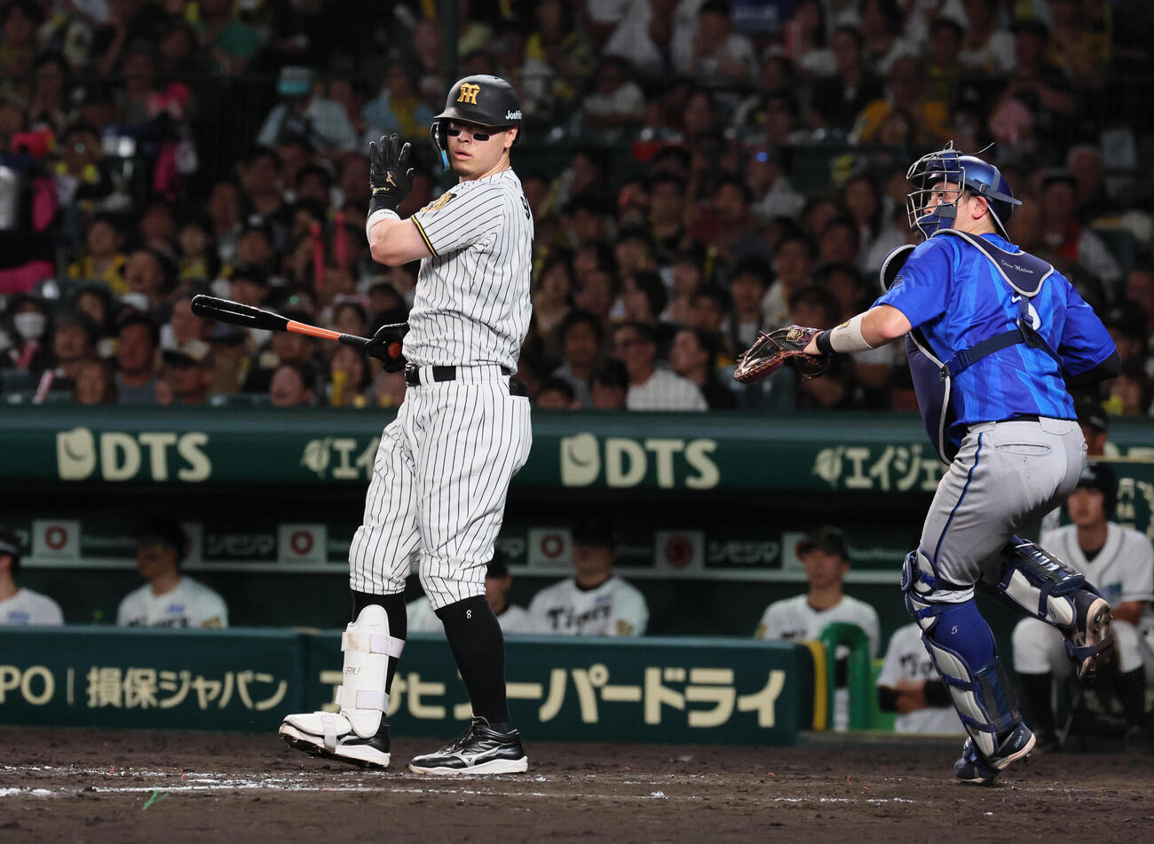 阪神対DeNA 4回裏阪神無死、佐藤輝明は空振り三振に倒れる（撮影・宮崎幸一）