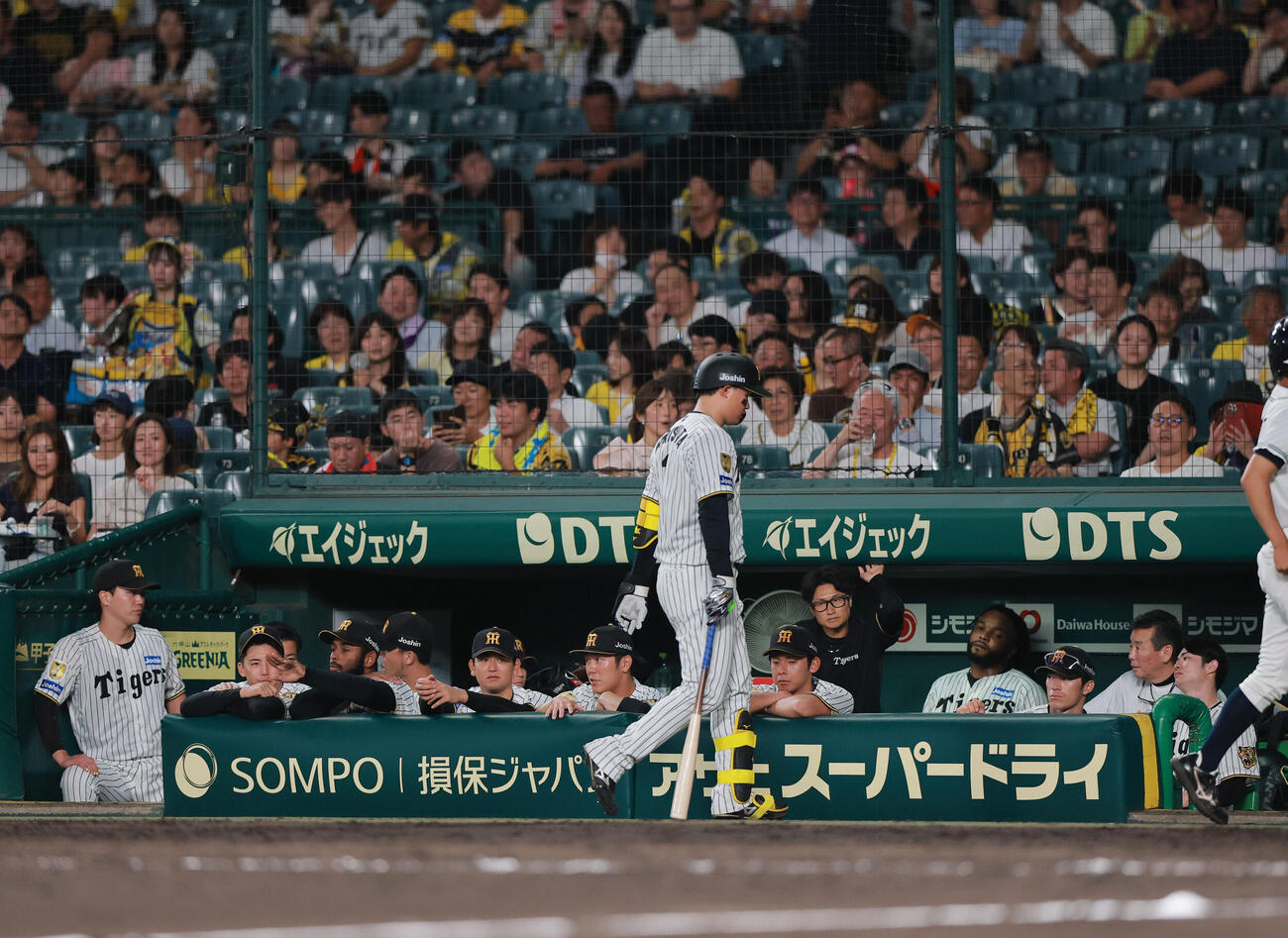 阪神対中日　9回裏阪神1死、森下翔太（手前）は遊ゴロに倒れベンチに引き揚げる（撮影・上山淳一）