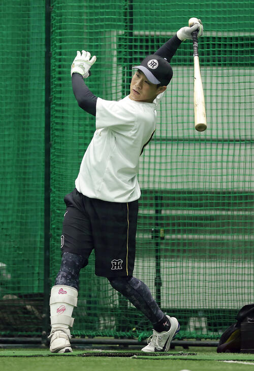 阪神木浪聖也（2026年6月撮影）