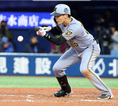 DeNA対阪神　7回表阪神無死一、二塁、元山飛優は送りバントを決める（撮影・浅見桂子）