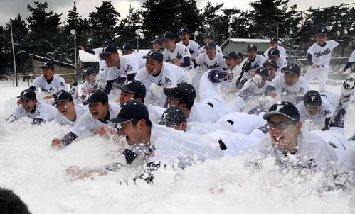 由利工ナインは創部５７年目で初の甲子園出場を決め、積雪の母校グラウンドで喜びを爆発させる