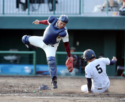 高岡商対済美　9回裏済美1死一、三塁、伊藤のサヨナラとなる左犠飛で池内が滑り込みで生還する（撮影・垰建太）