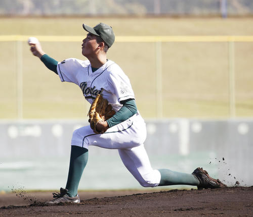佐野日大対東農大三先発登板する東農大三・井口真之介(撮影・河田真司)