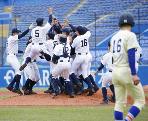 星稜に勝利しマウンドへ集まり歓喜する札幌大谷ナイン(撮影・河田真司)