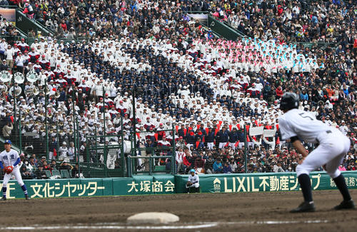 龍谷大平安対明豊　盛り上がる龍谷大平安応援席（撮影・上山淳一）