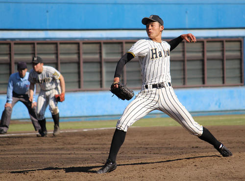 夏への飛躍を誓った横浜隼人の大型左腕・佐藤（撮影・金子真仁）