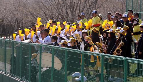 伊達緑丘対鵡川　黄色いメガホン、Tシャツで応援する鵡川の応援団（撮影・永野高輔）