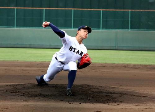 札幌大谷対札幌光星　昨年11月の明治神宮大会以来6カ月ぶりに公式戦に登板し、1回 1／3 無失点だった札幌大谷のエース西原（撮影・永野高輔）
