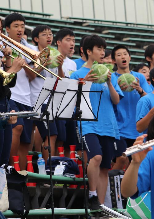 利根商対嬬恋　嬬恋が得点を挙げるたび、応援団はキャベツを手に「玉菜音頭」を披露した（撮影・古川真弥）