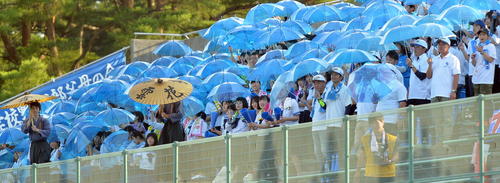 傘を使って盛り上げる花北青雲の応援席（撮影・鎌田直秀）