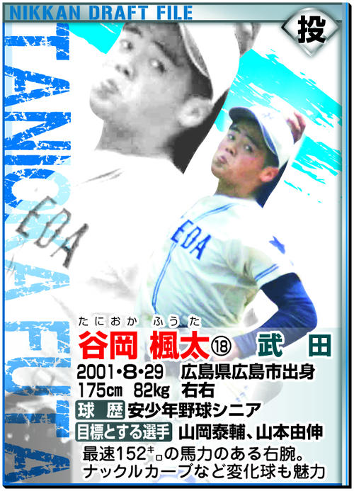 ドラフトファイル：谷岡楓太