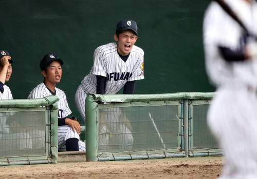 久慈対大船渡　6回表、ベンチからチームメートに声援を送る大船渡・佐々木（右）（撮影・狩俣裕三）