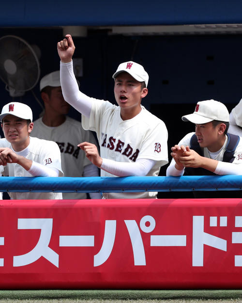 早実対国学院久我山　ベンチから声出しする早実・清宮福太郎（中央）（撮影・伊作将希）