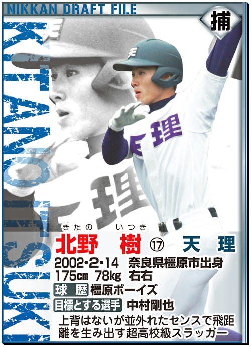 ドラフトファイル：北野樹