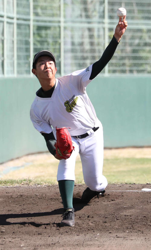 ブルペンで投球する鶴岡東・池田