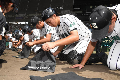 津田学園対履正社　履正社に負け甲子園の土をひろう津田学園の選手（撮影・奥田泰也）