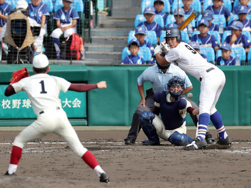 高岡商対履正社　4回裏履正社1死満塁、押し出し死球を受ける井上。投手荒井（撮影・前田充）