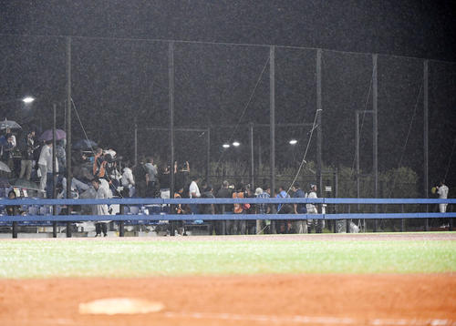 日本対パナマ　5回裏途中、佐々木の投球が始まり、試合そっちのけでブルペンに集まる報道陣と観客（撮影・横山健太）