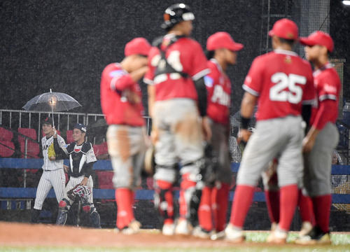 日本対パナマ　6回裏途中、雨で試合が中断し、ブルペンから傘を差しベンチへ戻る佐々木（左）と山瀬（撮影・横山健太）