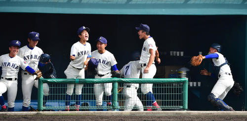 綾羽対履正社　4回表綾羽2死二、三塁、西山の遊撃の打球が適時失策となり勝ち越しに歓喜の綾羽ナイン（撮影・清水貴仁）