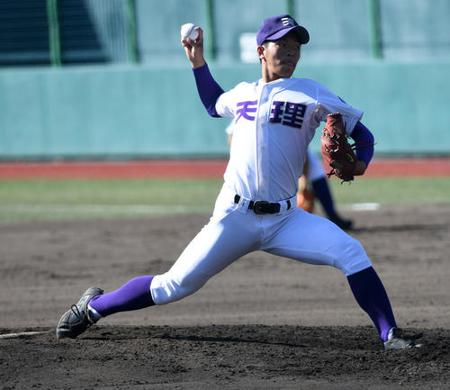 履正社対天理　天理先発の庭野（撮影・前岡正明）