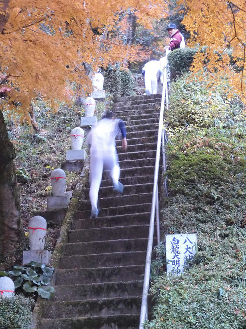 12月、大阪桐蔭ナインはグラウンド近くにある楠公寺の階段をダッシュする。西谷浩一監督は階段横から声をかける